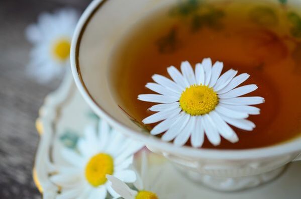 décoction de camomille pour le traitement de l'hypertension